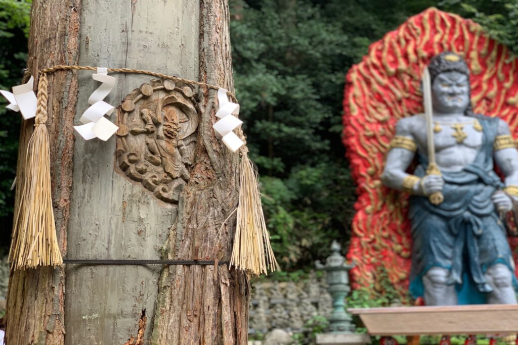 Il-pellegrinaggio-a-Sasaguri