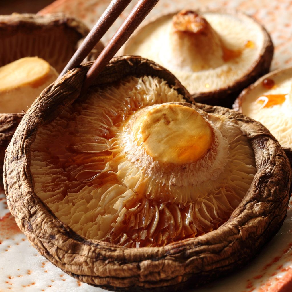 Shiitake