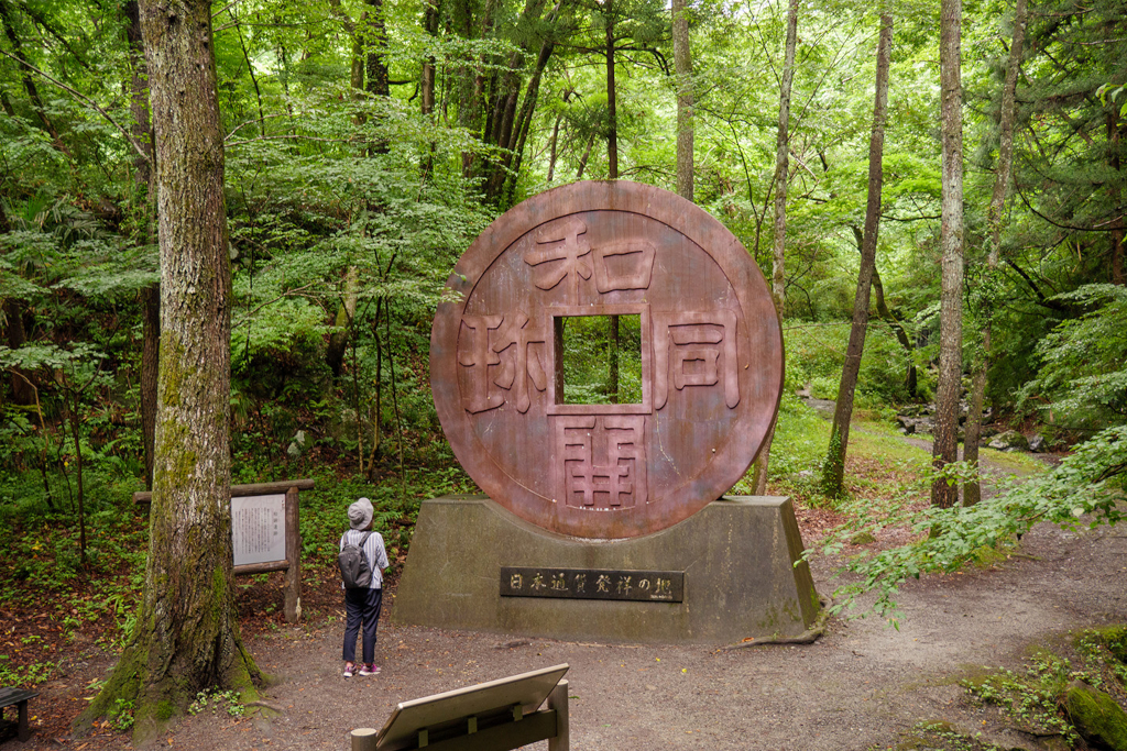 Caratteristiche-moneta