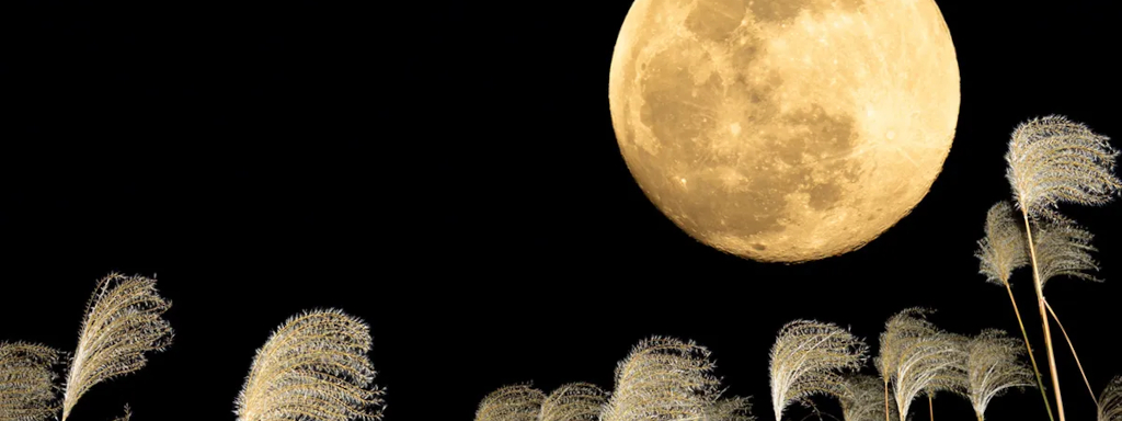 Y ahora vamos a divertirnos un poco: Tsukimi, el Festival del Medio Otoño.