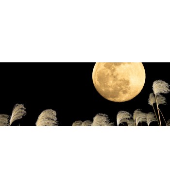 E ora divertiamoci: Tsukimi il festival di metà autunno E ora divertiamoci: Tsukimi il festival di metà autunno