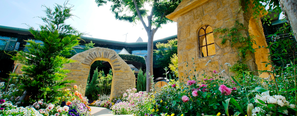 Bienvenido a un mundo rodeado de magia.