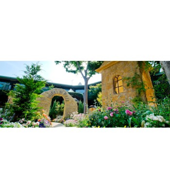 Bienvenido a un mundo rodeado de magia.