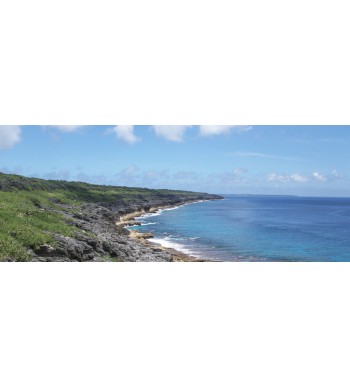 Die unberührte Natur der Insel Minami Daito