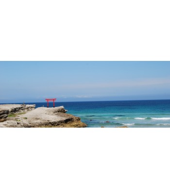 El Santuario con un Solo Torii Rojo
