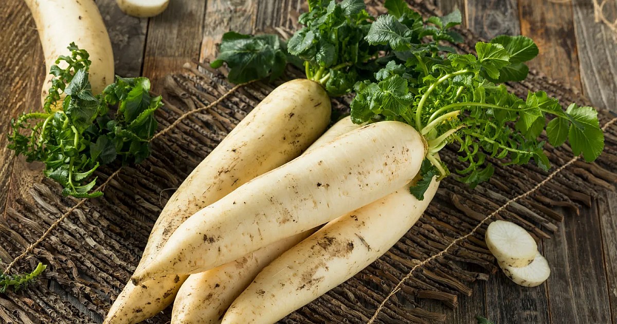Daikon giapponese: gusto, preparazione e consigli