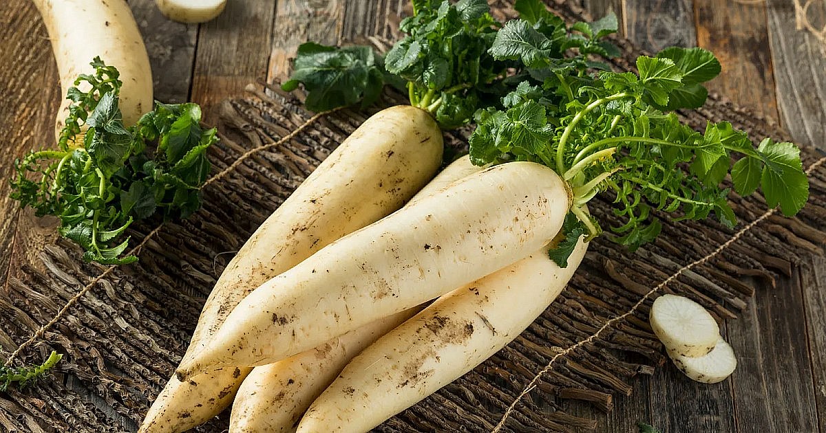 Daikon giapponese: gusto, preparazione e consigli