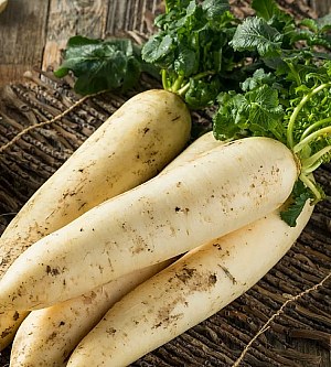 Daikon giapponese: gusto, preparazione e consigli