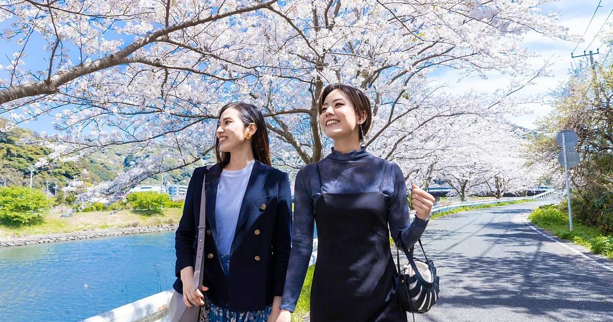 Hanami nella vita quotidiana: idee e consigli