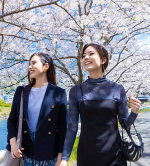 Hanami nella vita quotidiana: idee e consigli